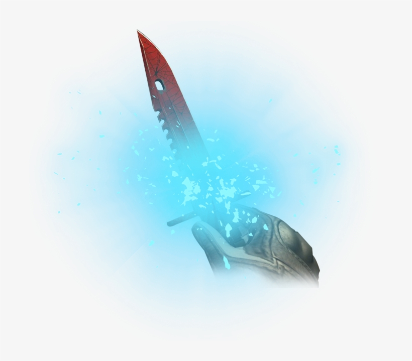 Find All What You Need - Humpback Whale, transparent png download