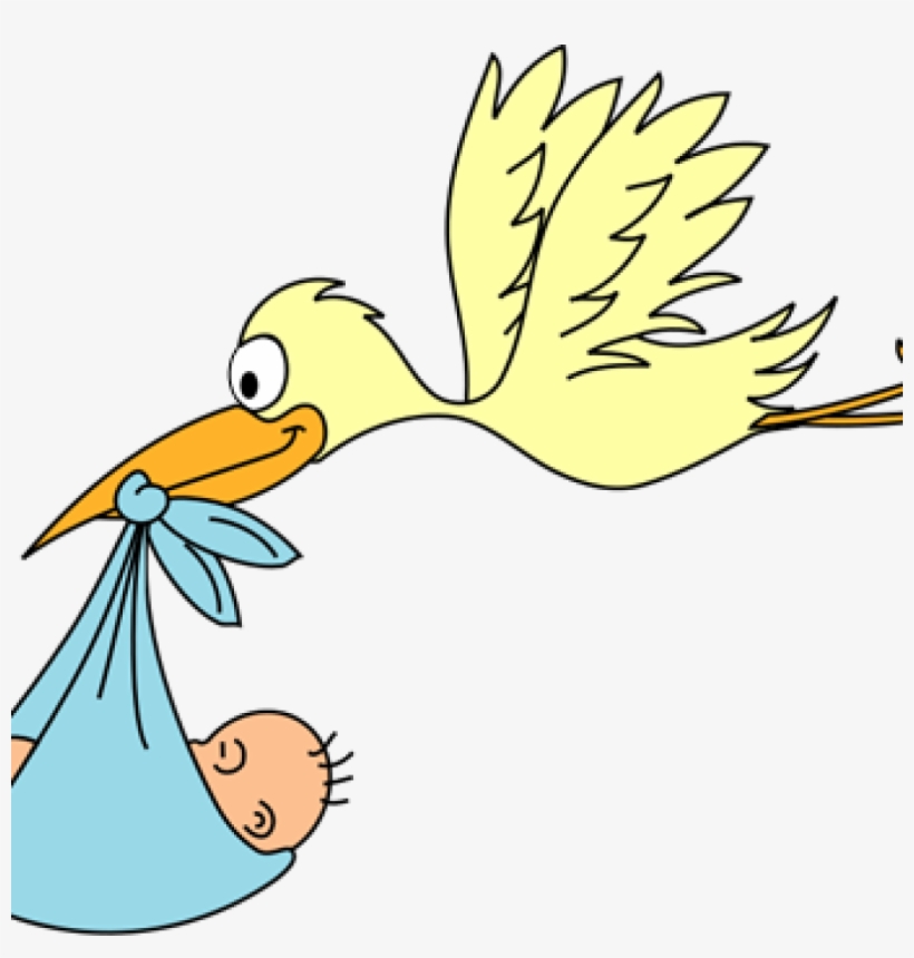 Stork Clipart Stork Ba Clipart Free Graphics Of Storks Baby Shower Transparent Png 1024x1024 Free Download On Nicepng