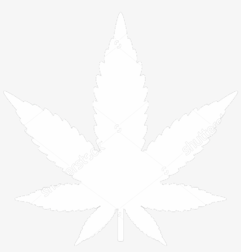 A Neurobiologist Says Medical Marijuana Could Solve - Marijuana Vector Funny, transparent png download