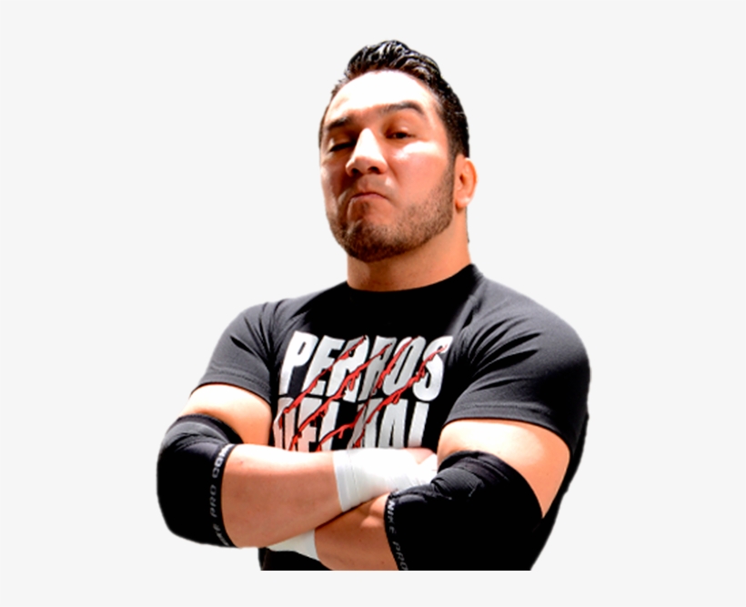 Hijo Del Perro Aguayo, transparent png download