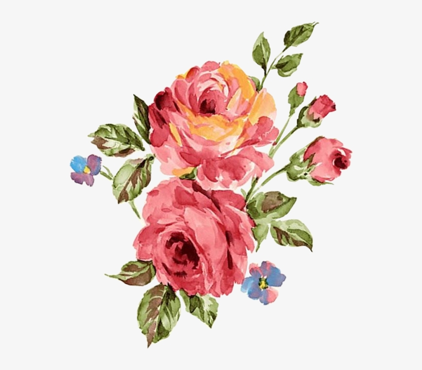 Rosa Oleo Decoupage Pinterest Pintura Aquarela Imagens - Rose Red Watercolors Transparent, transparent png download