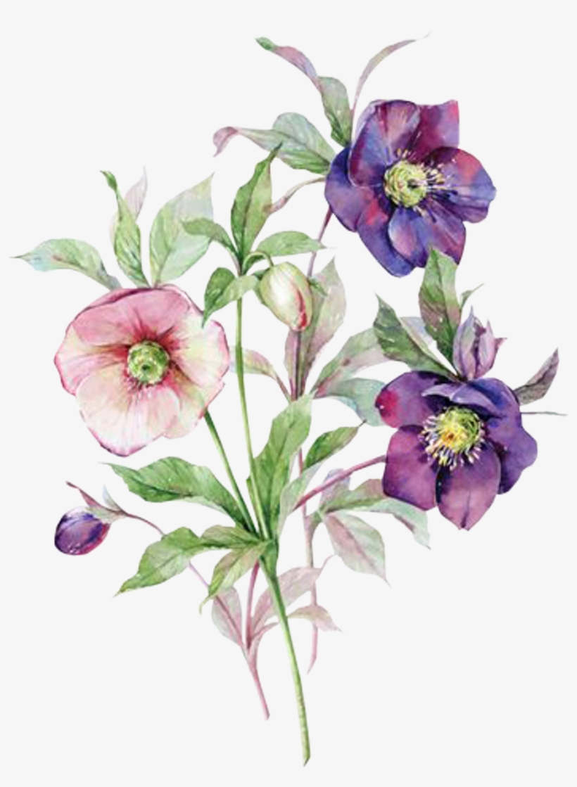 Flores Sticker - Me Trate Como Gostaria De Ser Tratado, transparent png download