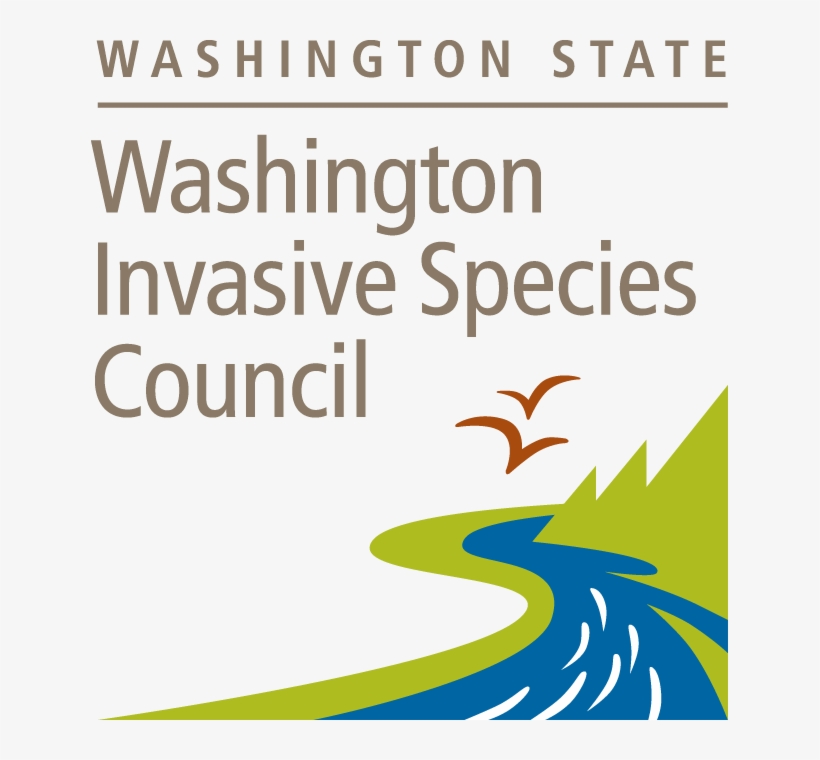 Mar 20, 2019 Webinar - Graphic Design, transparent png download