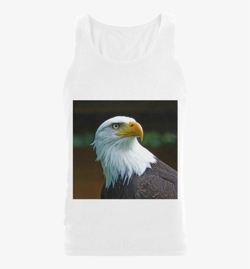 Bald Eagle, transparent png download