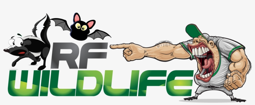 Rf Wildlife Removal Rf Wildlife Removal - Cartoon, transparent png download