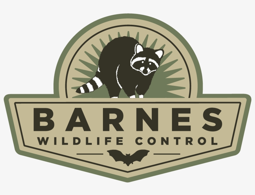 Chipmunk Removal Service - Gbrands, transparent png download