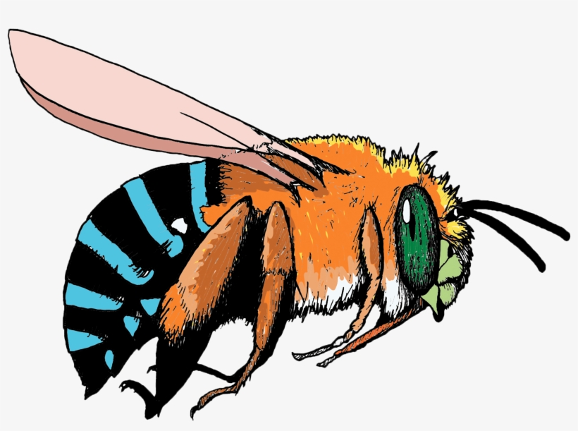 Pollinator Link - Blue And Orange Bee, transparent png download