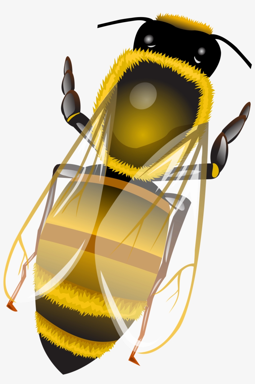 Bee Png Clip Art - Illustration, transparent png download