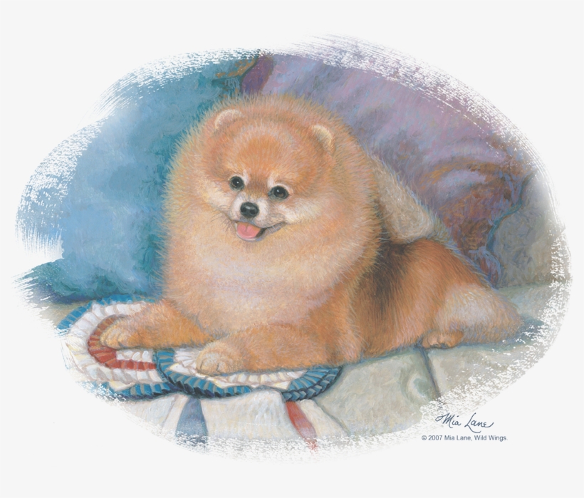 Wildlife Pomeranian Portrait Youth T Shirt - Pomeranian, transparent png download