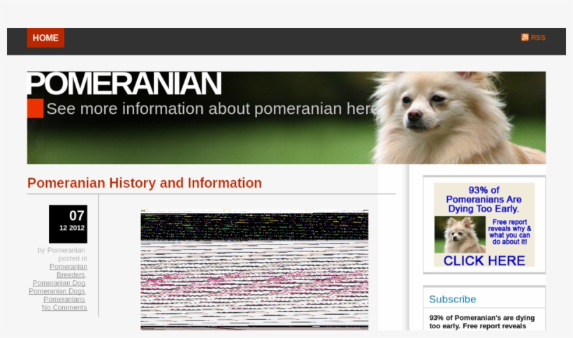 Tv Website Listed On Flippa - Little Fluffy Dogs, transparent png download