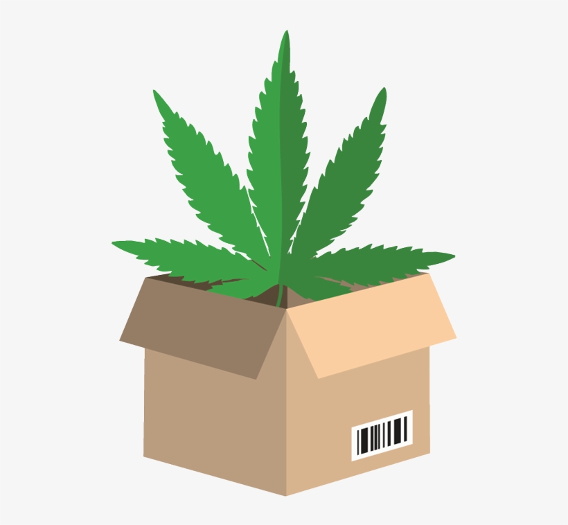 Cannabisbuyer Wholesale - Marijuana Leaf, transparent png download