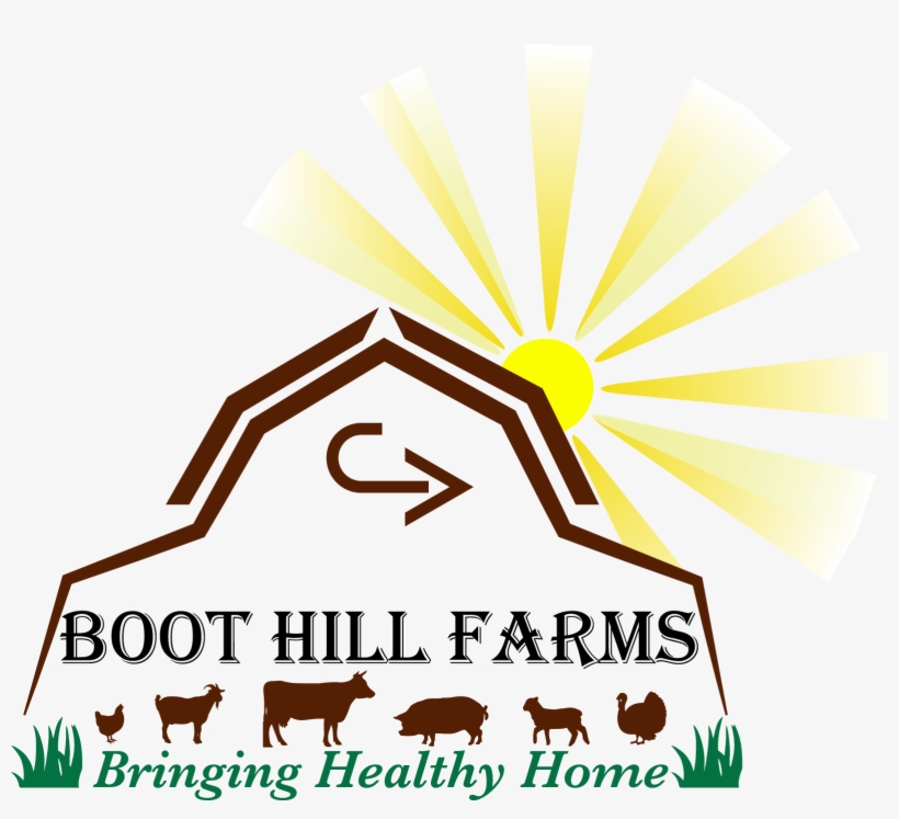 100% Grass-fed/finished, Hormone And Antibiotic Free, transparent png download