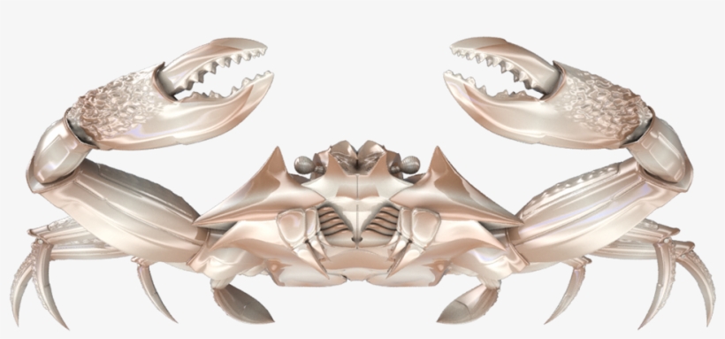 Robotic Crab - Preview - Rock Crab, transparent png download