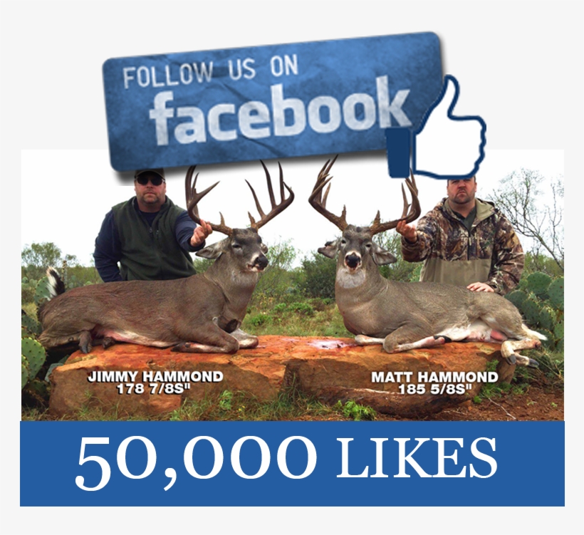 Join Us Today - Elk, transparent png download