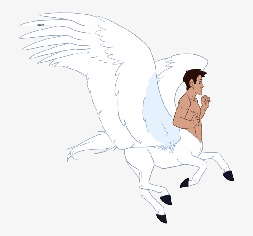 Pegcasus - Illustration, transparent png download