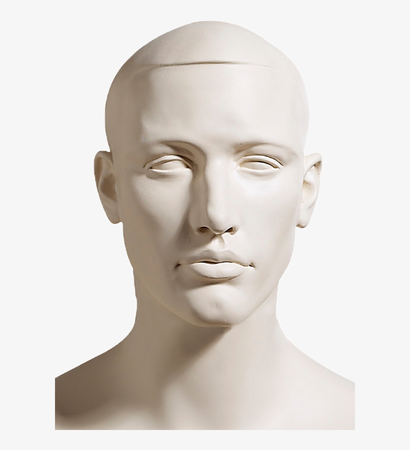 Head Only 900×600 - Prescription Drug Commercials 2018, transparent png download