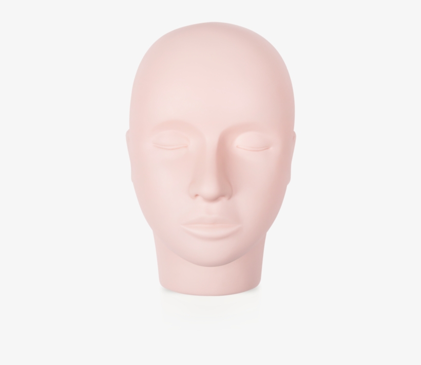 Practicing Mannequin Head - Bust, transparent png download