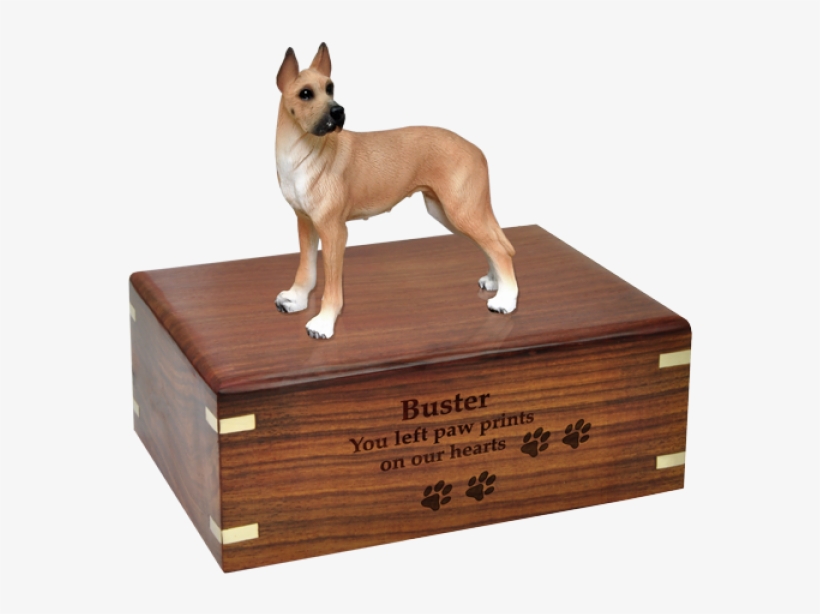 Great Dane Fawn Wood Urn For Pet Dog W/ Breed Figurine - Pug Pet Urns, transparent png download