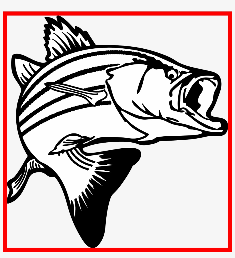 Caught Fish Jpg Free Techflourish Collections Inspiring - Striped Bass Clip Art, transparent png download