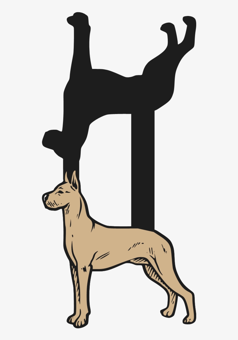 Great Dane By Request - Dog Catches Something, transparent png download