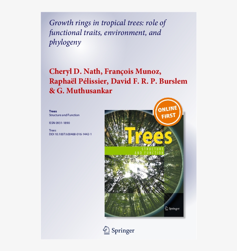 Pdf - Flyer, transparent png download