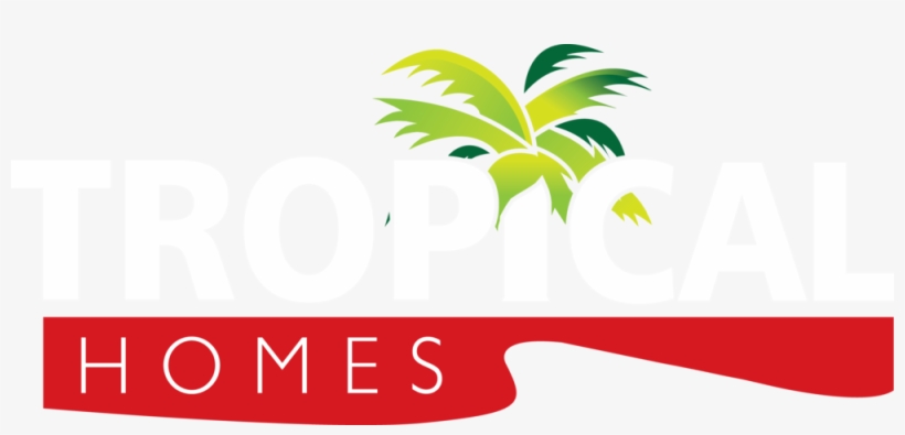 Tropical Tree Png, transparent png download