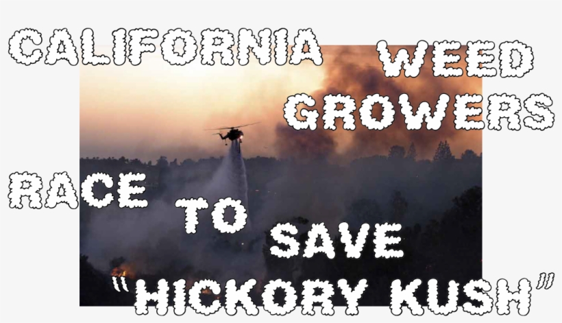 Wildfires Are Threatening California's Marijuana “emerald - Poster, transparent png download