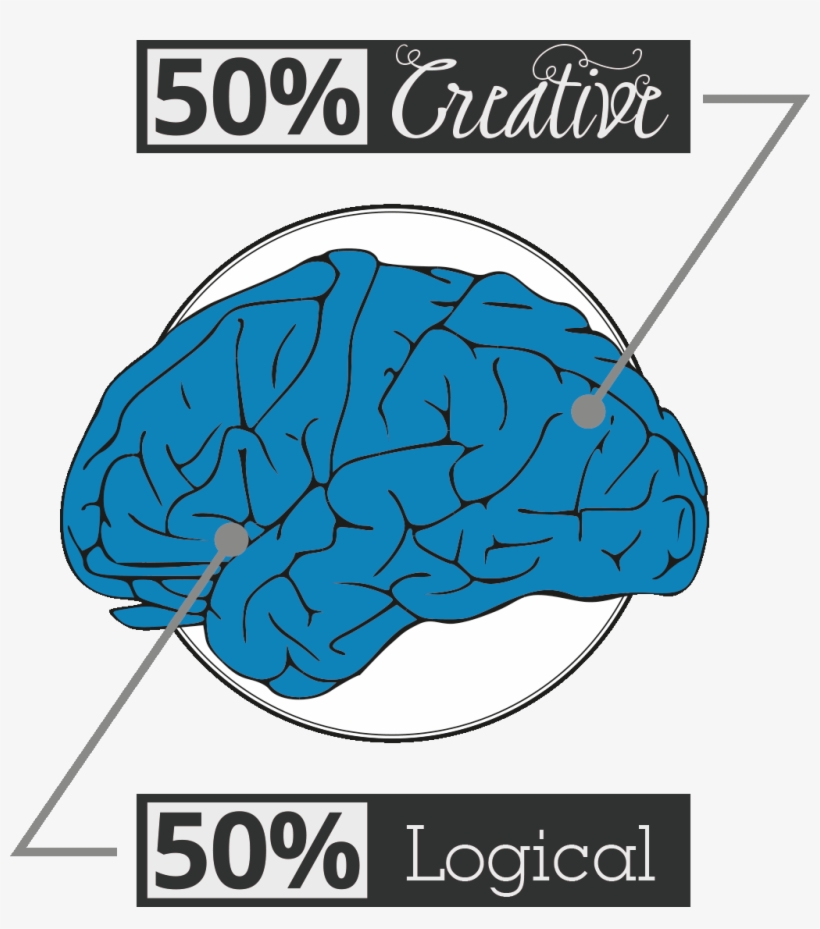 Brain - Brain Clip Art, transparent png download