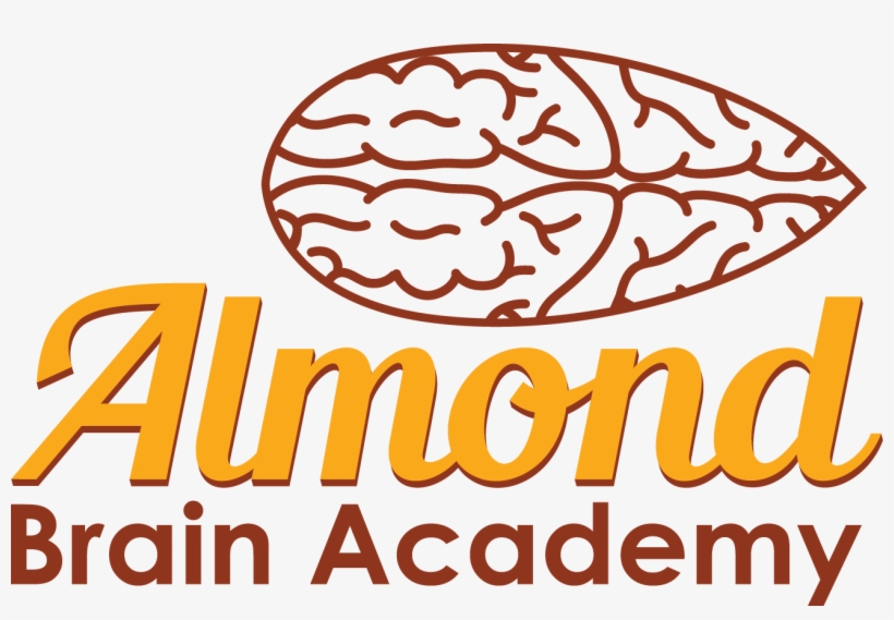 Almond Brain Academy, In City, transparent png download
