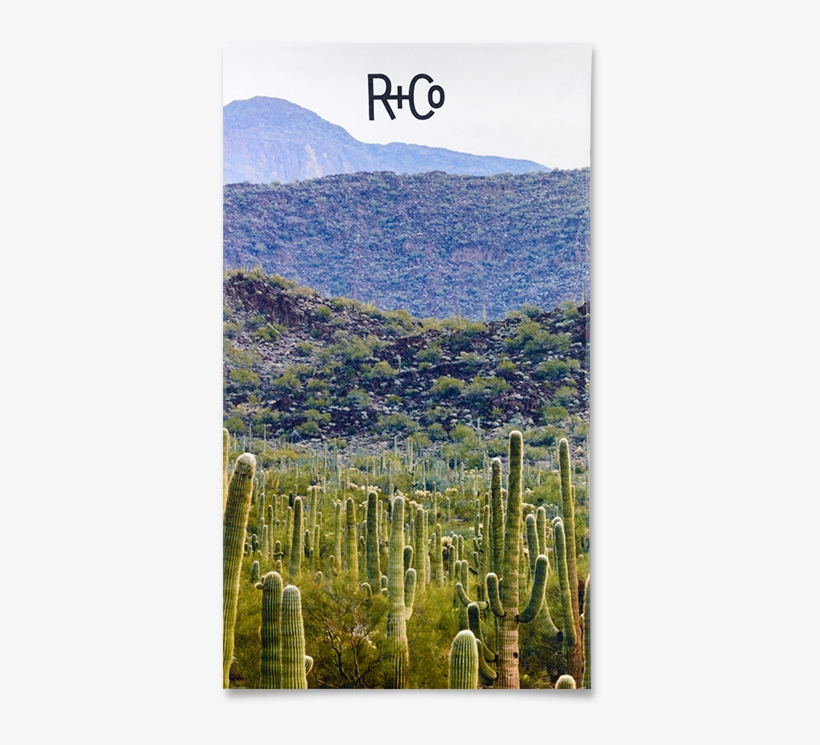 R Co, transparent png download