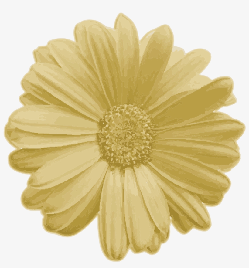 Real Flower Png, transparent png download