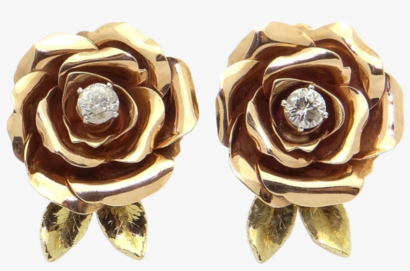 1201 X 1201 1 - Garden Roses, transparent png download