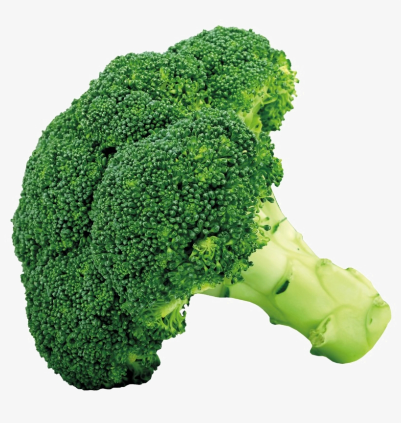 Broccoli Png, transparent png download