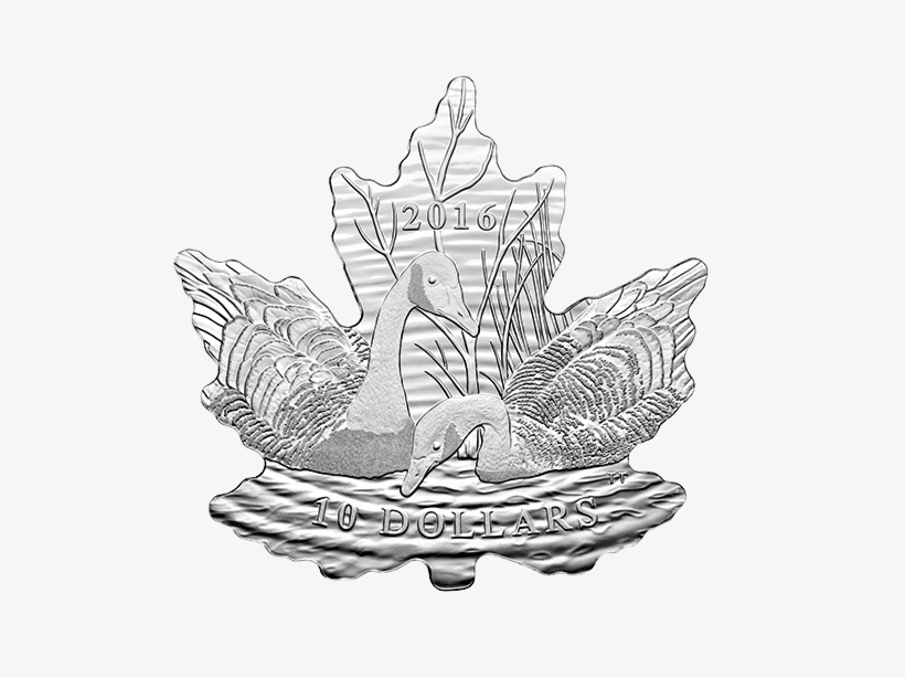 Maple Leaf Silhouette - Silver Coin, transparent png download