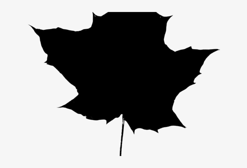 Leaf Silhouette Cliparts - Maple Leaf, transparent png download