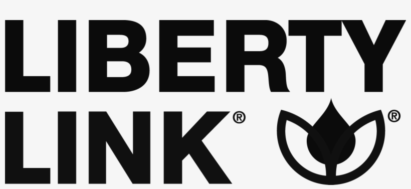 Libertylink Logo - Liberty Link, transparent png download