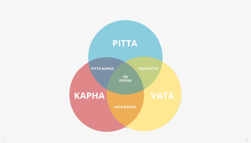 When The Equilibrium Is Disturbed, You Get Diseases - Circle, transparent png download