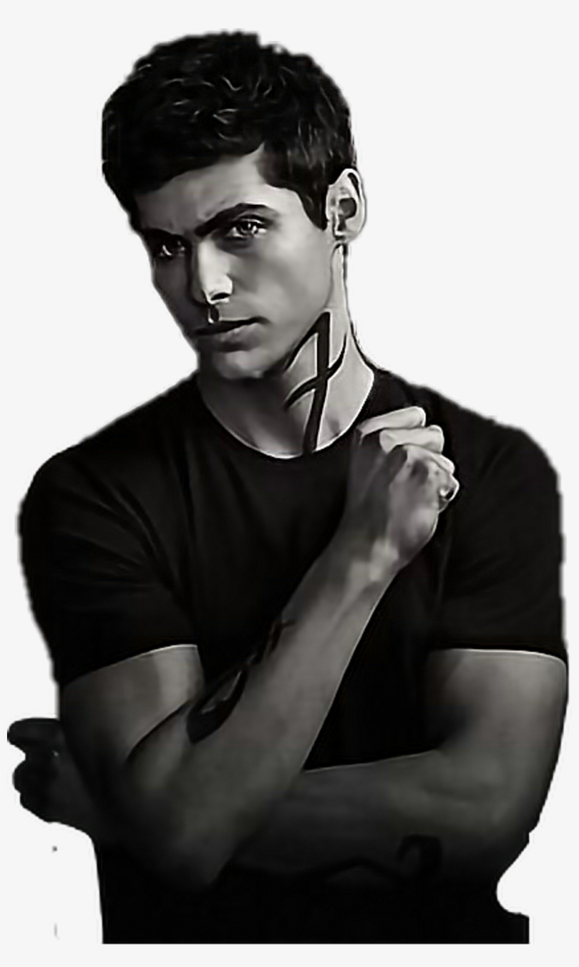 Matthewdaddario Sticker - Matthew Daddario, transparent png download