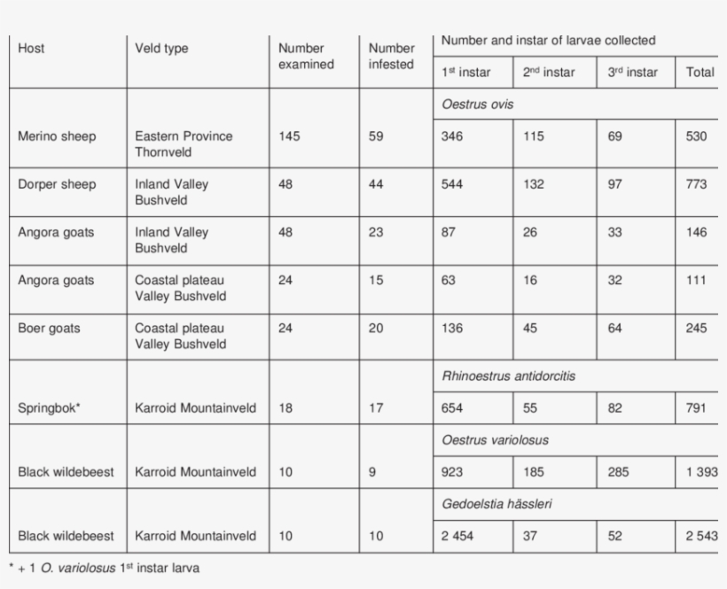 Oestrid Fly Larvae From Sheep, Goats, Springbok And - Halloween Multiplication Mystery, transparent png download