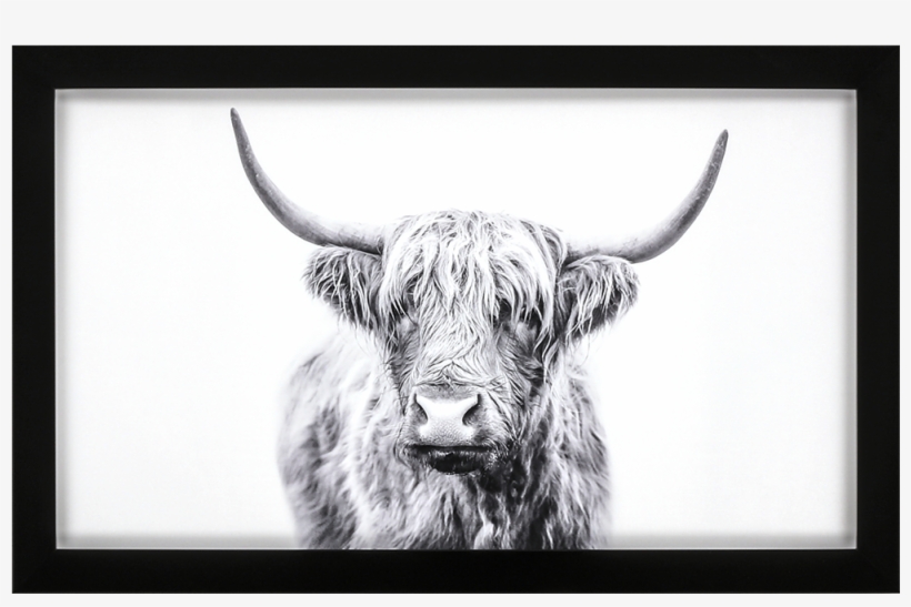 Horned Bull - Bull, transparent png download