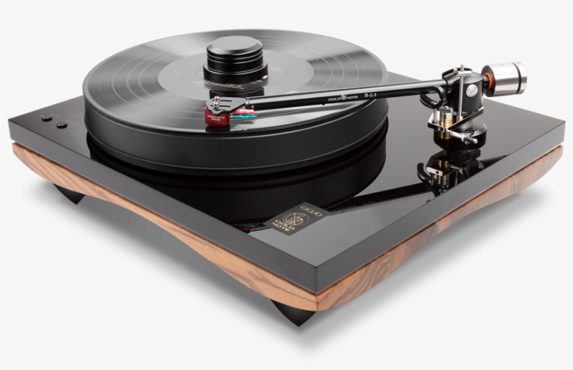 Gold Note Giglio Pianosa - Gold Note Giglio, transparent png download