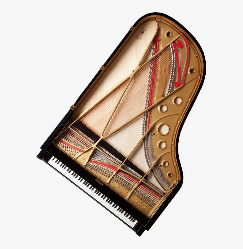 A View Of The Top And Inside Of A Fazioli Grand Piano - Wood, transparent png download