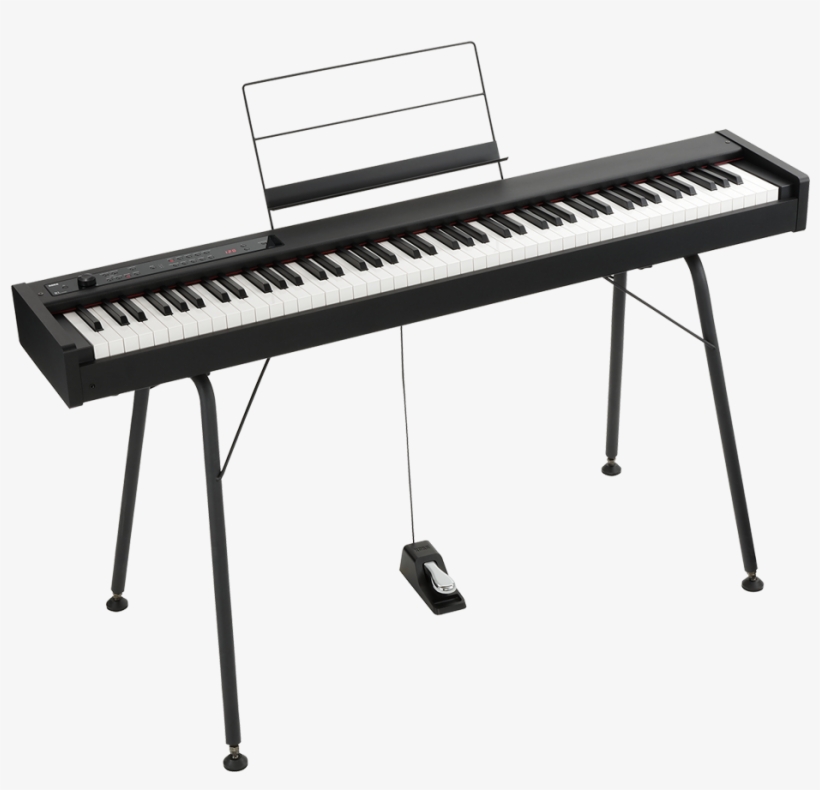 The Playing Feel Of A Grand Piano, On Stage Or In Your - St Sv1 Keyboard Stand, transparent png download