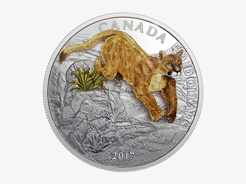 160349 Rev-570 - Coin, transparent png download