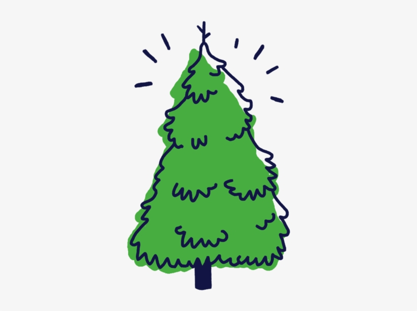 Frazier Fir Christmas Tree Clipart - Christmas Tree, transparent png download