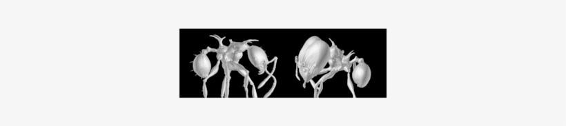 Courtesy Of Okinawa Institute Of Science And Technology - Ant, transparent png download