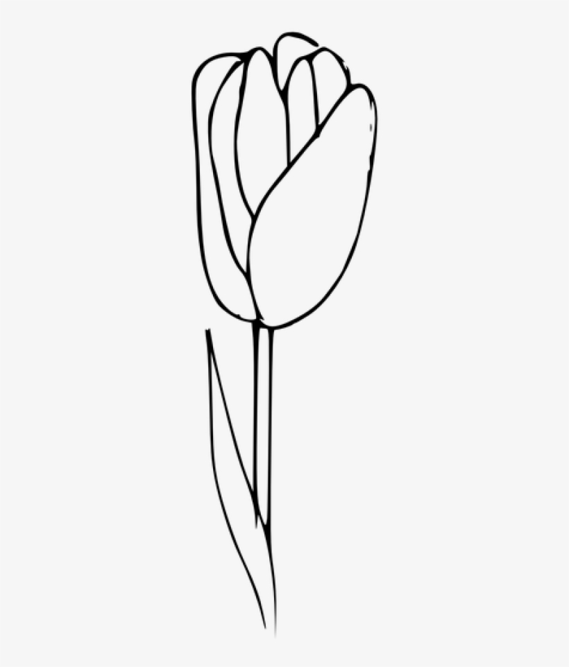 Outline, Tulip Coloring, Flow - ดอก ทิว ลิ ป สำหรับ ระบายสี, transparent png download