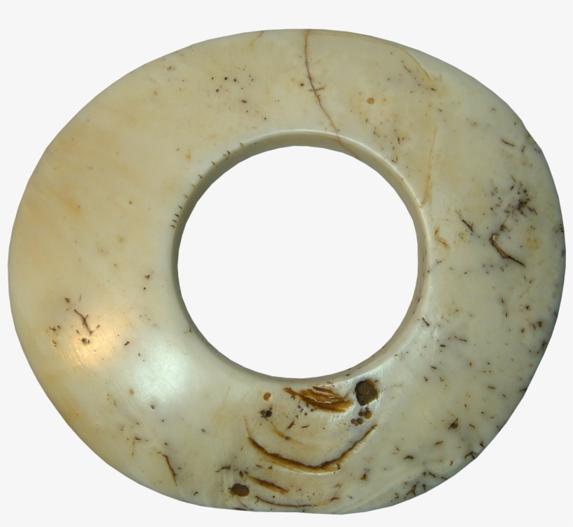Papua New Guinea, Boiken People, Wenga Clam Shell Ring - Circle, transparent png download