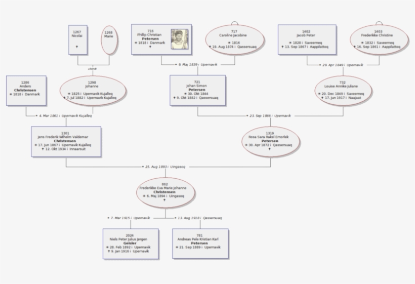 Umiddelbar Familie - Diagram, transparent png download