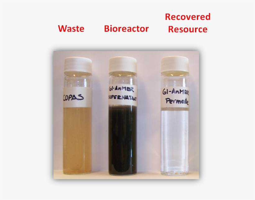 Overview2 - Plastic Bottle, transparent png download